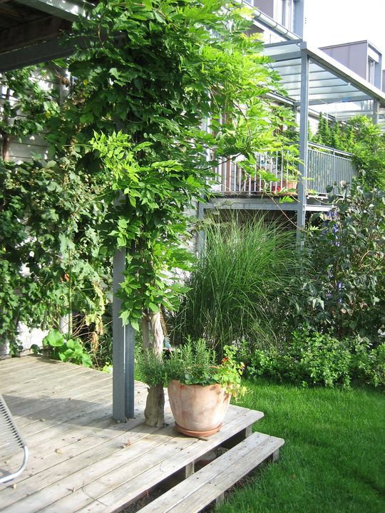 Holzhaussiedlung Strassweid