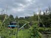 img_2247.jpeg